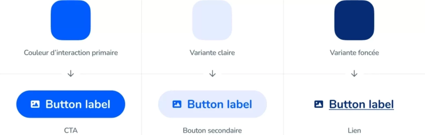 Infographie de 3 couleurs avec un exemple d'utilisation de chaque dans un bouton.